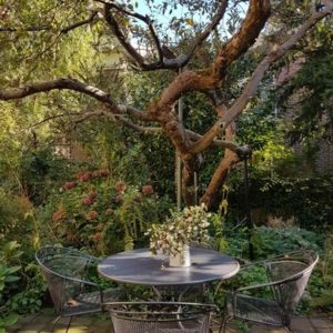 27/09/2018 Visite du Jordaan au gré des Hofjes