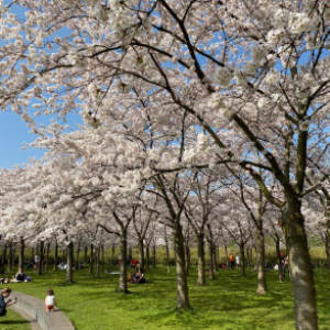 Newsletter “L’Echo des Canaux” Mars 2022