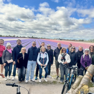 Les tulipes à bicyclette
